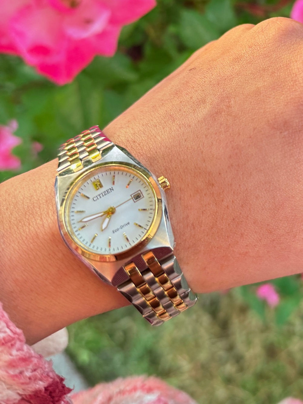 Citizen Two-Tone Gold and Silver Women's Eco-Drive Watch